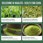 Matcha 100g - Polvere di tè verde