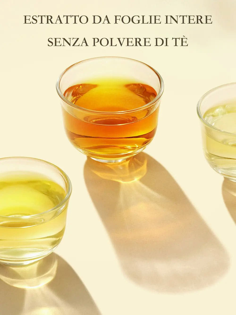 Oriental Leaf | Tè Oolong 500ml - Trovasia - B01002 - 03