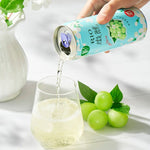 RIO Cocktail Leggermente Alc. 3% – Gusto Frutto della Passione & Vodka - Trovasia - B07001 - 06