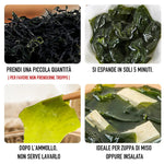 Alga Wakame Essiccata 100g - Trovasia - a0801201