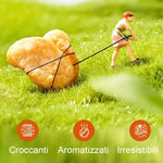 Fagioli Croccanti di Fava 285g - Gusto Granchio - Trovasia - 