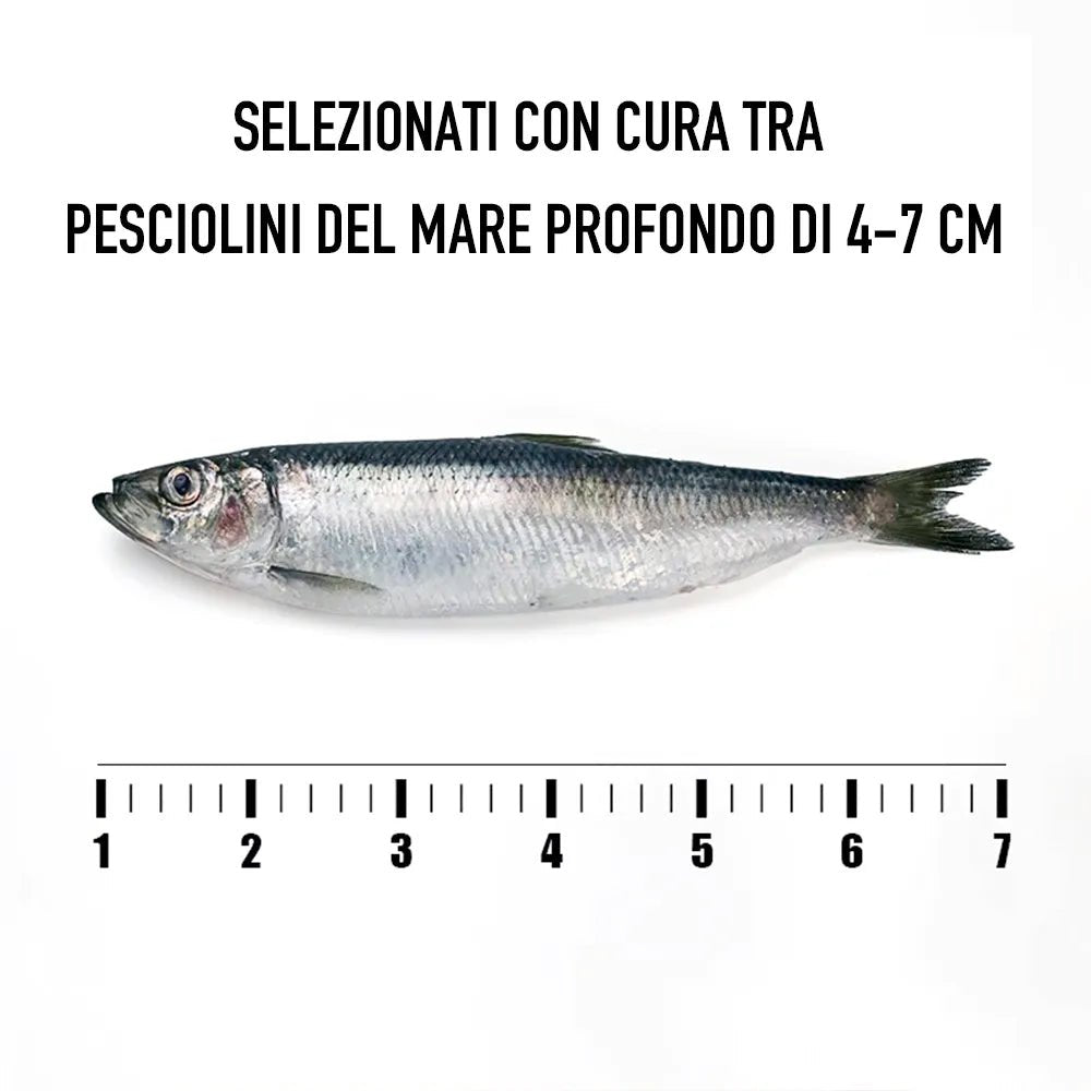 Pesciolini Marinati 96g - Trovasia - S1300801