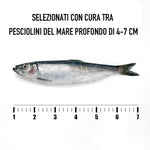 Pesciolini Marinati 96g - Trovasia - S1300801