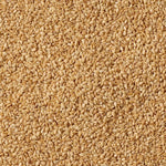 Semi di Sesamo Bianco Tostato 100g - Trovasia - A08030 - 01