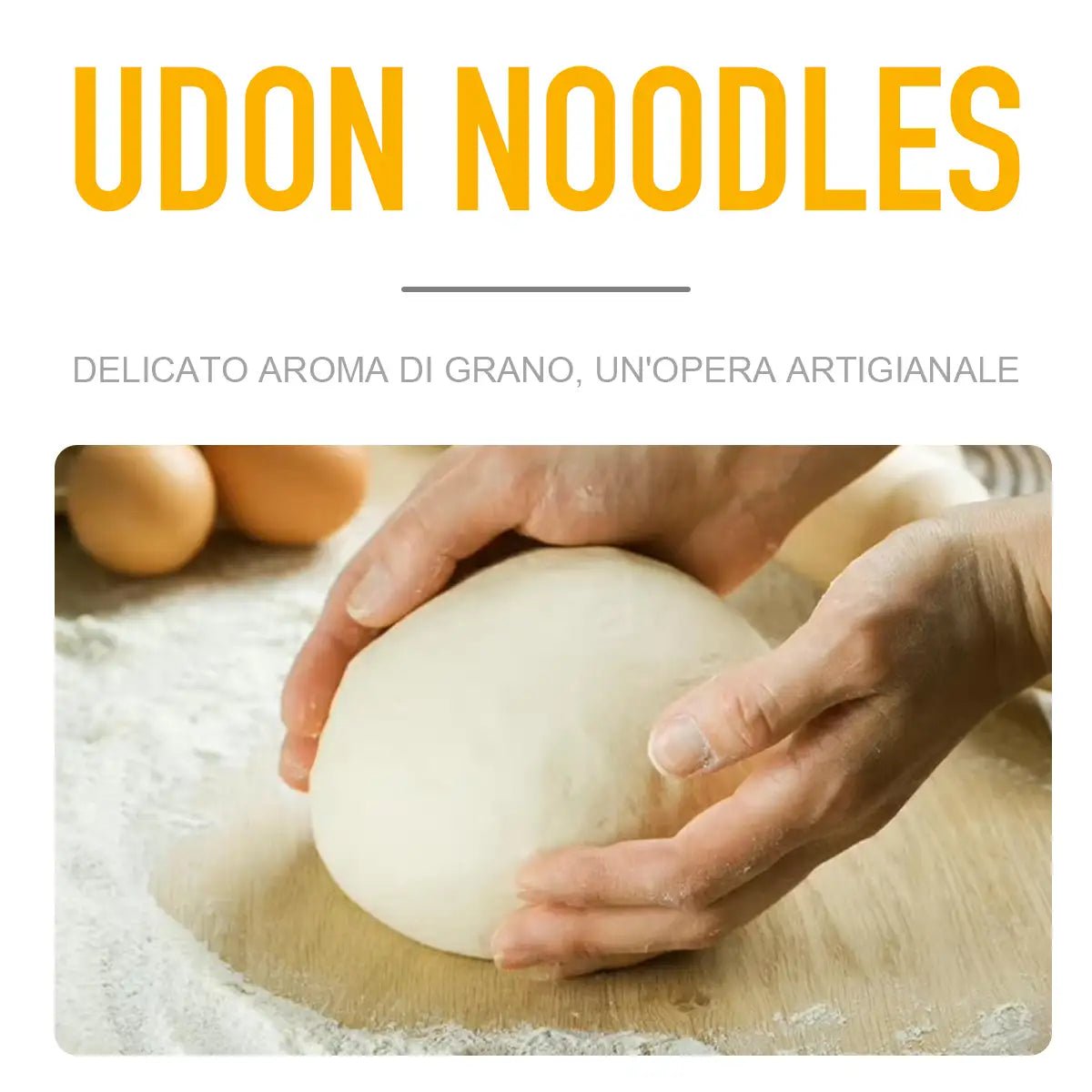 Spaghetti Udon 800g - Trovasia - A0600201